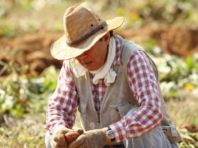 Farmer 's Life Tour